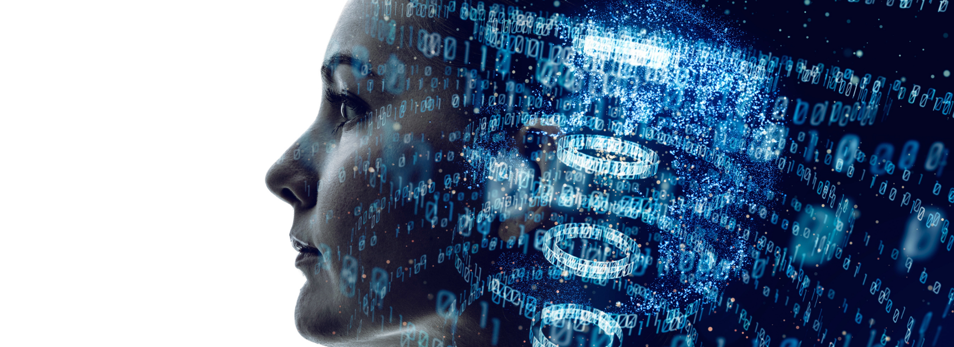 ビジネスの可能性を、
デジタルで広げる。